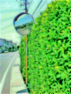 �ӂ�